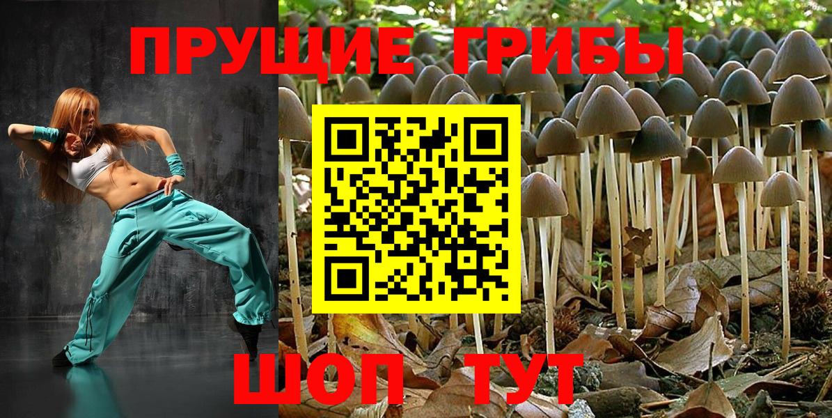 Псилоцибиновые грибы мухоморы Дзержинский