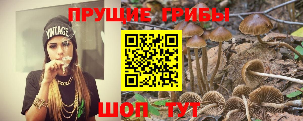 Галлюциногенные грибы ЛСД  Вход с VPN  Дзержинский 